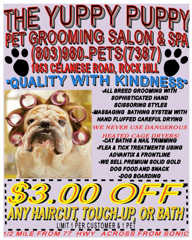 Pictures for The Yuppy Puppy Pet Spa & Boarding in Rock Hill, SC 29732